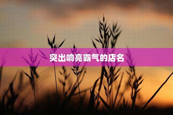 突出响亮霸气的店名