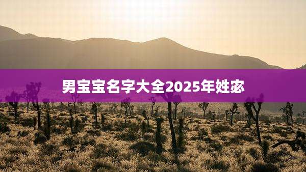 男宝宝名字大全2025年姓宓