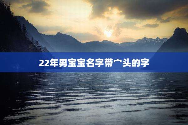 22年男宝宝名字带宀头的字