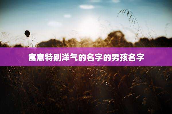 寓意特别洋气的名字的男孩名字