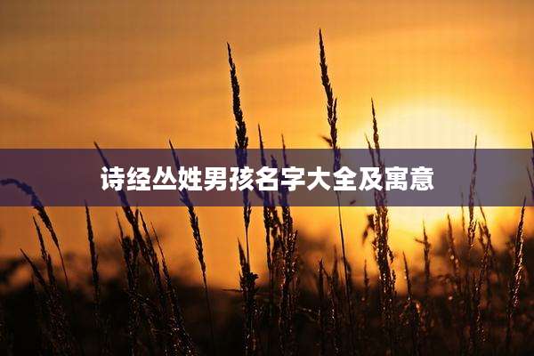 诗经丛姓男孩名字大全及寓意