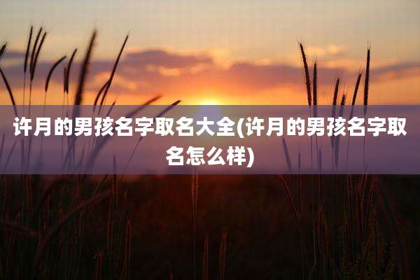 许月的男孩名字取名大全(许月的男孩名字取名怎么样)