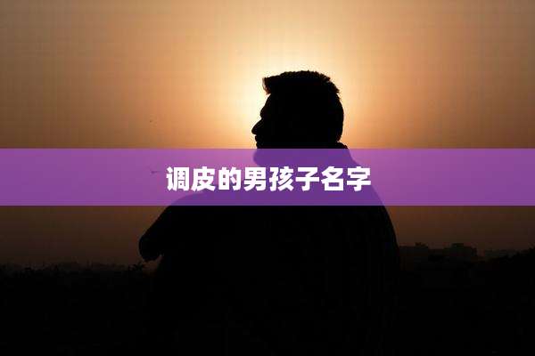 调皮的男孩子名字