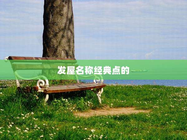 发屋名称经典点的