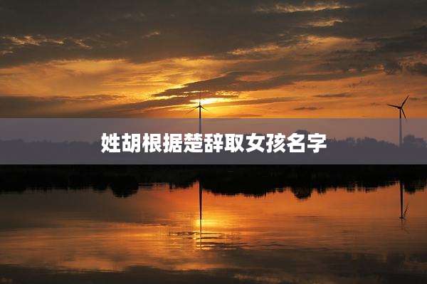 姓胡根据楚辞取女孩名字