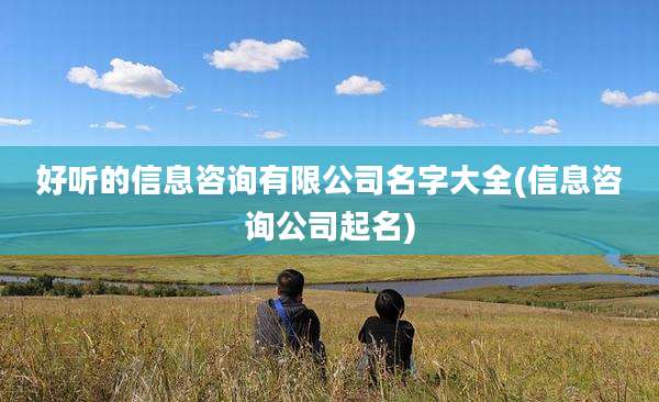 好听的信息咨询有限公司名字大全(信息咨询公司起名)