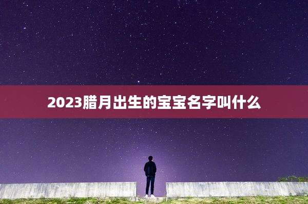 2023腊月出生的宝宝名字叫什么
