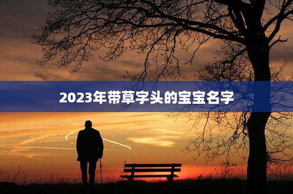 2023年带草字头的宝宝名字