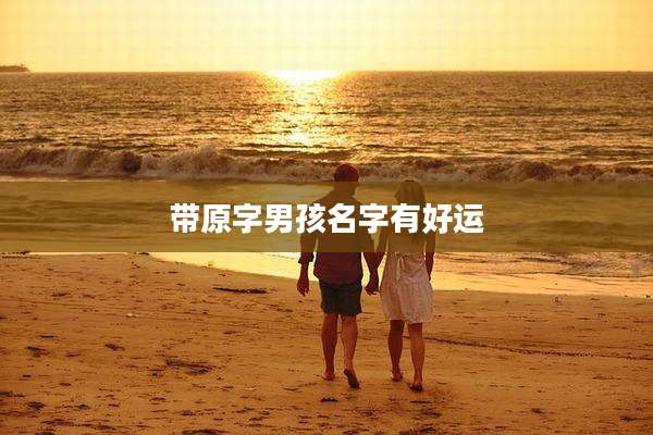 带原字男孩名字有好运