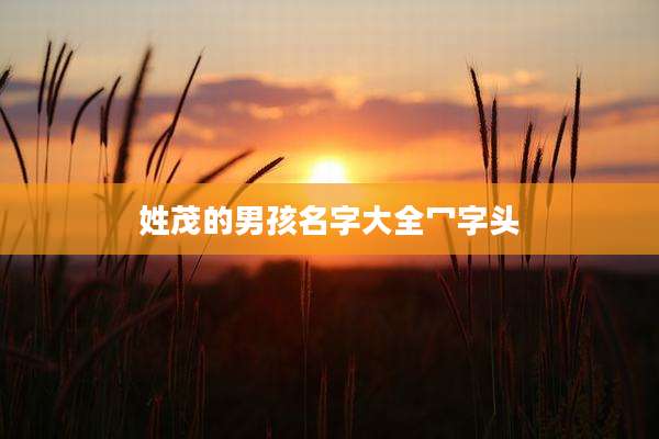 姓茂的男孩名字大全冖字头