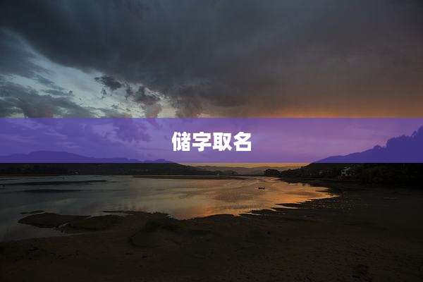 储字取名