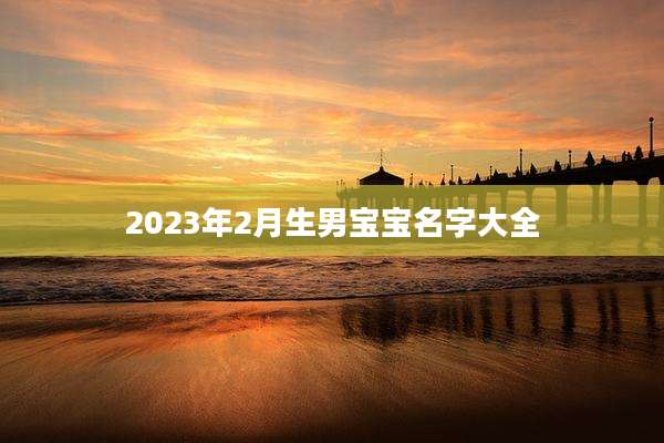 2023年2月生男宝宝名字大全