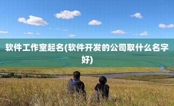 软件工作室起名(软件开发的公司取什么名字好)