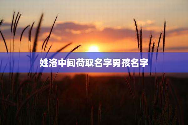 姓洛中间荷取名字男孩名字