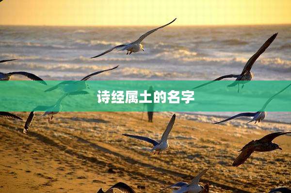 诗经属土的名字