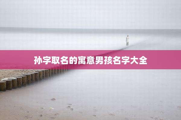 孙字取名的寓意男孩名字大全