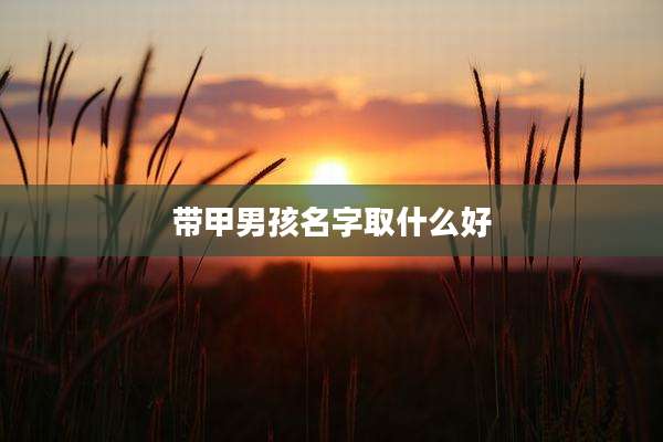 带甲男孩名字取什么好