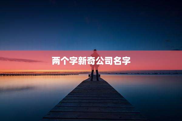 两个字新奇公司名字