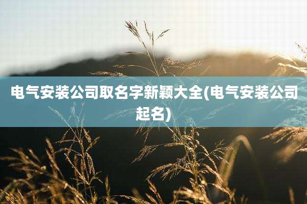 电气安装公司取名字新颖大全(电气安装公司起名)