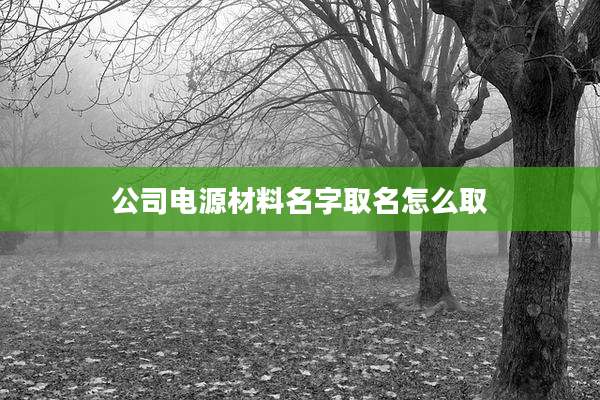 公司电源材料名字取名怎么取