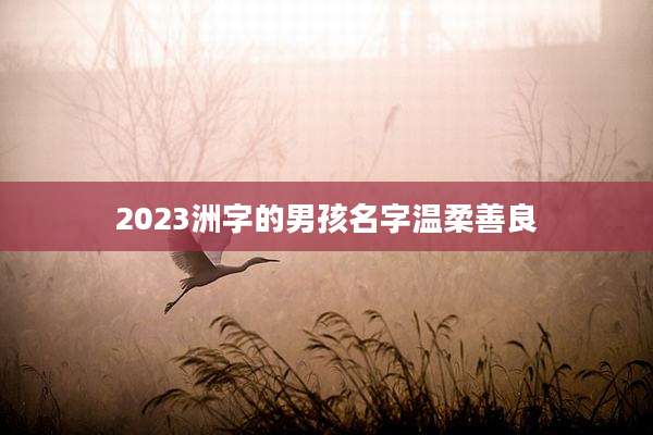 2023洲字的男孩名字温柔善良