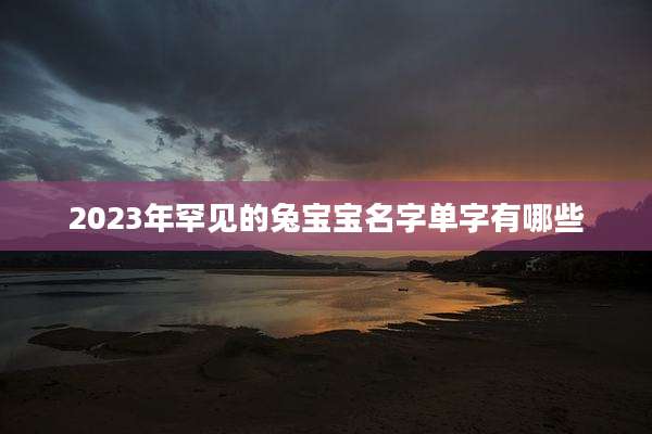 2023年罕见的兔宝宝名字单字有哪些