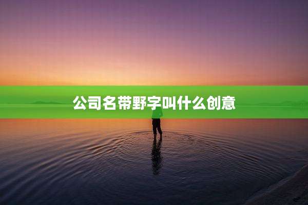 公司名带野字叫什么创意