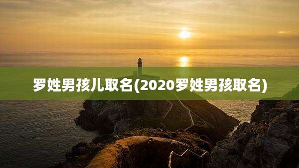 罗姓男孩儿取名(2020罗姓男孩取名)