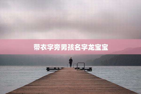 带衣字旁男孩名字龙宝宝