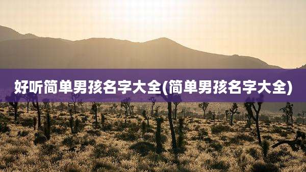 好听简单男孩名字大全(简单男孩名字大全)