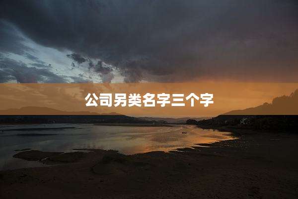 公司另类名字三个字