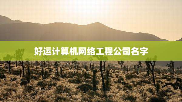 好运计算机网络工程公司名字