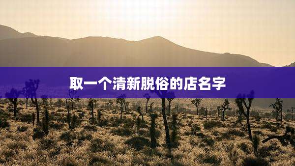 取一个清新脱俗的店名字