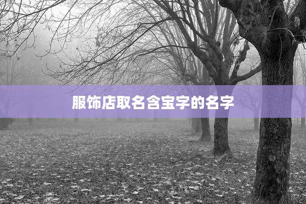 服饰店取名含宝字的名字