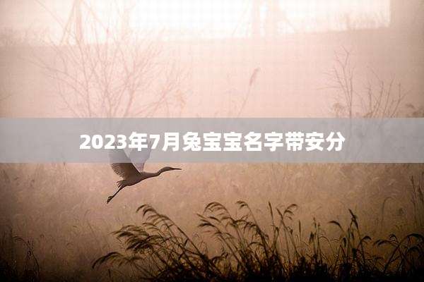 2023年7月兔宝宝名字带安分