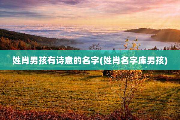 姓肖男孩有诗意的名字(姓肖名字库男孩)
