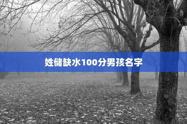 姓储缺水100分男孩名字