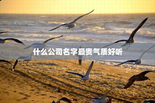 什么公司名字最贵气质好听