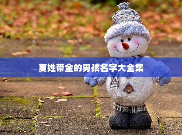 夏姓带金的男孩名字大全集
