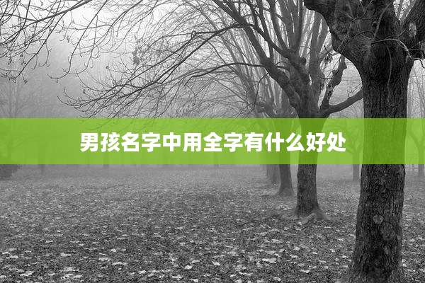 男孩名字中用全字有什么好处