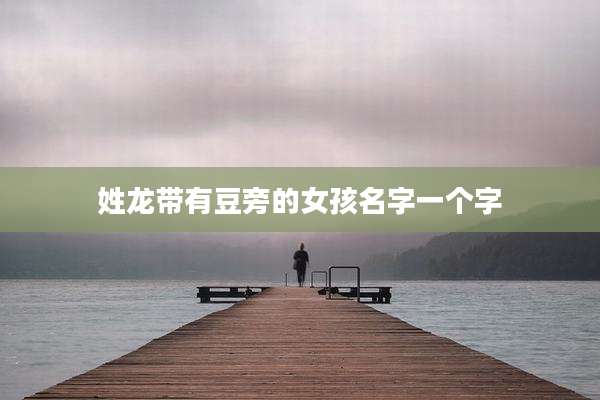 姓龙带有豆旁的女孩名字一个字