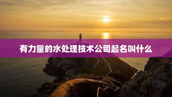 有力量的水处理技术公司起名叫什么
