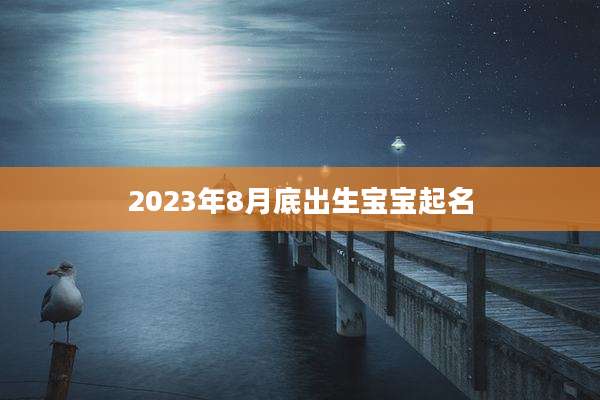 2023年8月底出生宝宝起名
