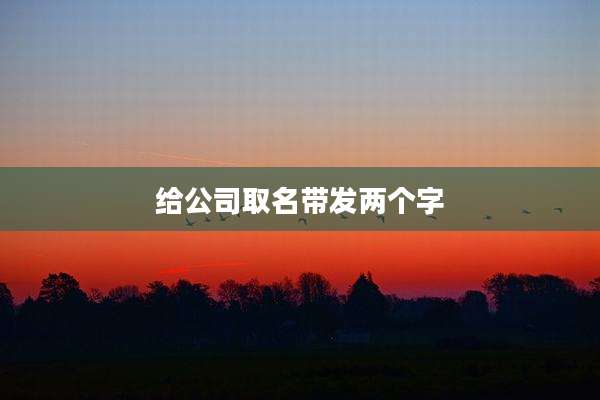 给公司取名带发两个字