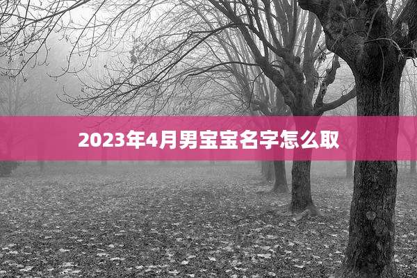 2023年4月男宝宝名字怎么取