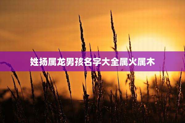 姓扬属龙男孩名字大全属火属木