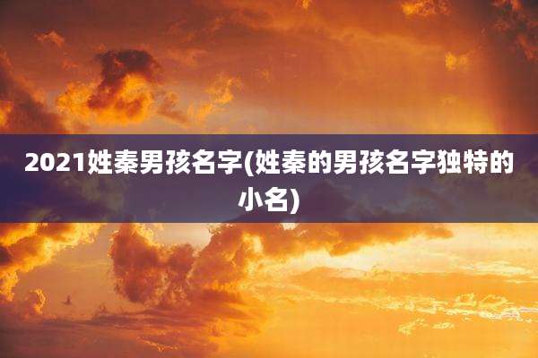 2021姓秦男孩名字(姓秦的男孩名字独特的小名)