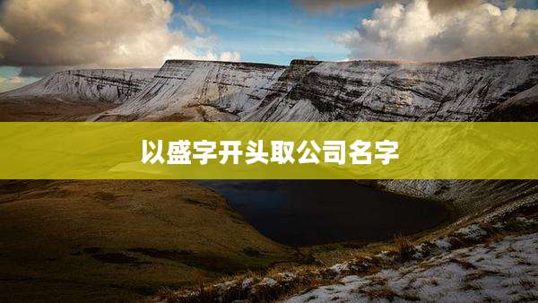 以盛字开头取公司名字