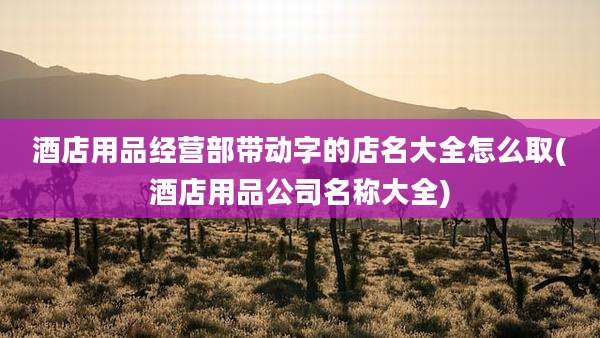 酒店用品经营部带动字的店名大全怎么取(酒店用品公司名称大全)