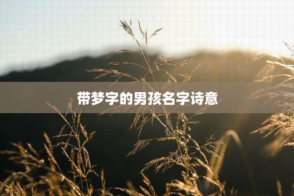 带梦字的男孩名字诗意